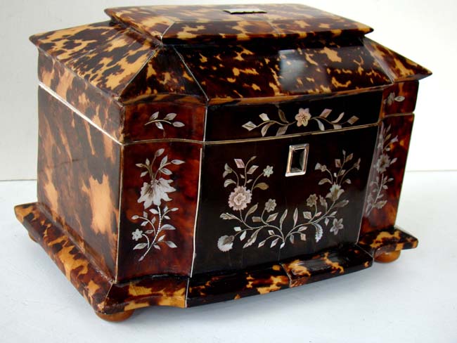 An English Regency period double serpentine fronted Tortoiseshell Tea Caddy box circa 1825 — image 3